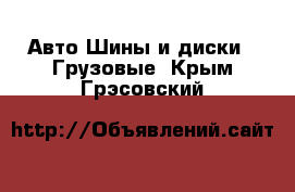 Авто Шины и диски - Грузовые. Крым,Грэсовский